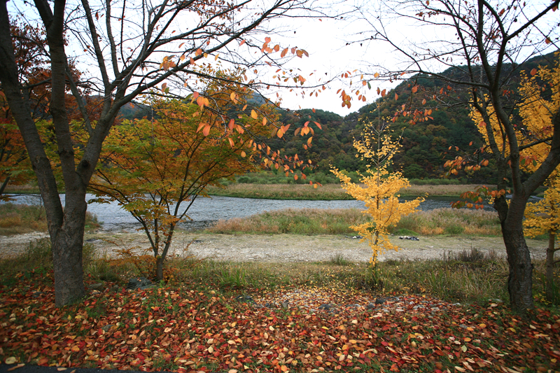 사용자 삽입 이미지