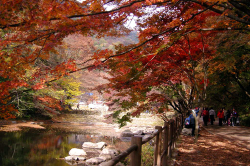 사용자 삽입 이미지