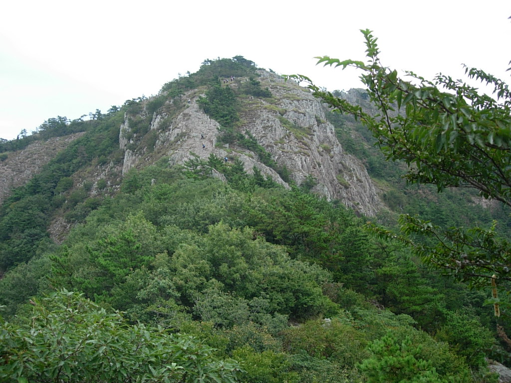사용자 삽입 이미지