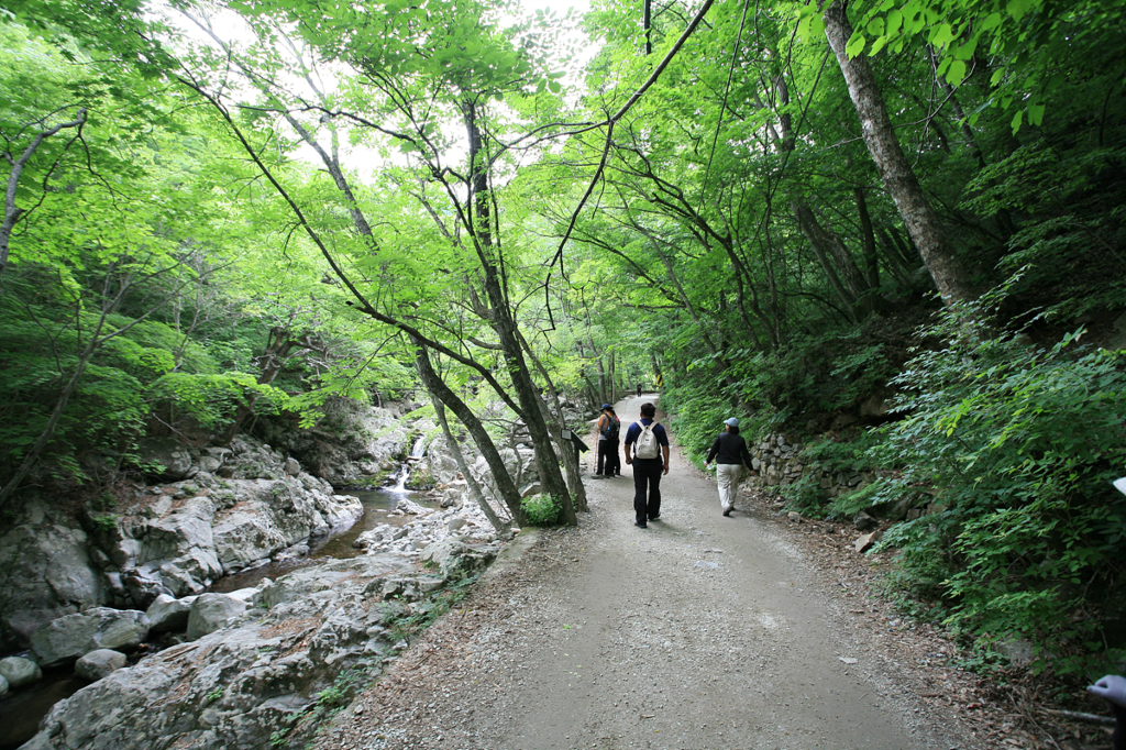 사용자 삽입 이미지