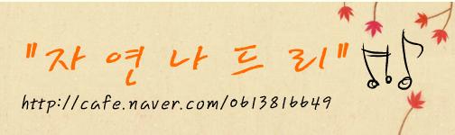 사용자 삽입 이미지