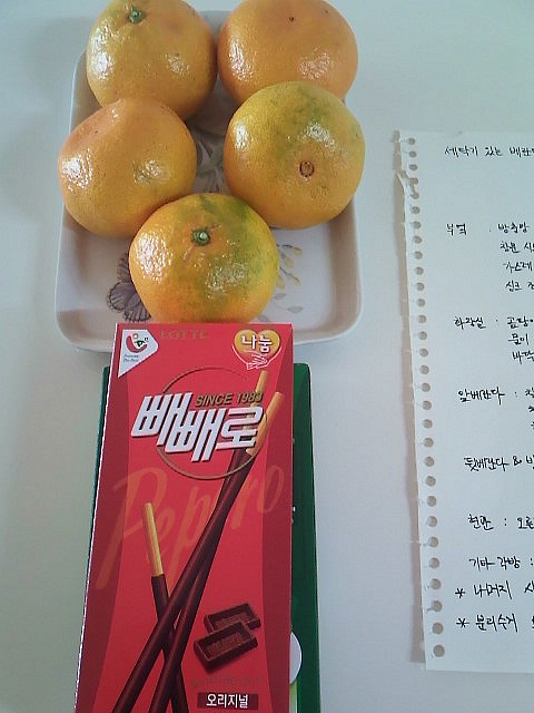 사용자 삽입 이미지
