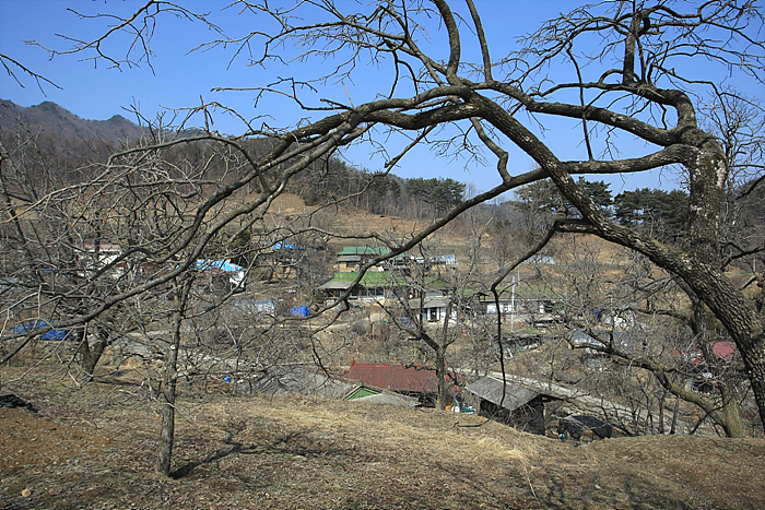 사용자 삽입 이미지