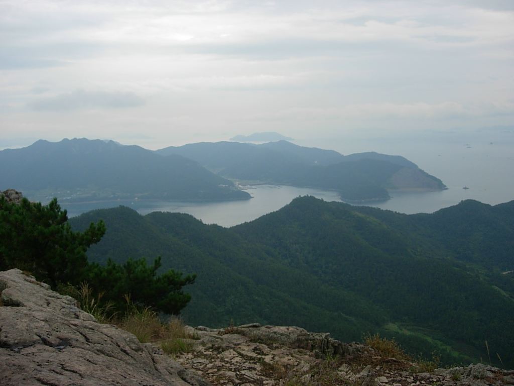 사용자 삽입 이미지