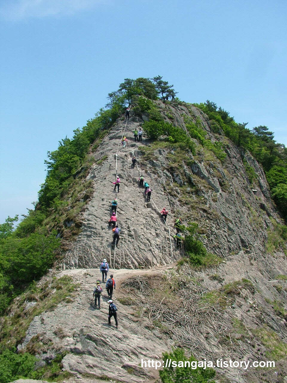 사용자 삽입 이미지