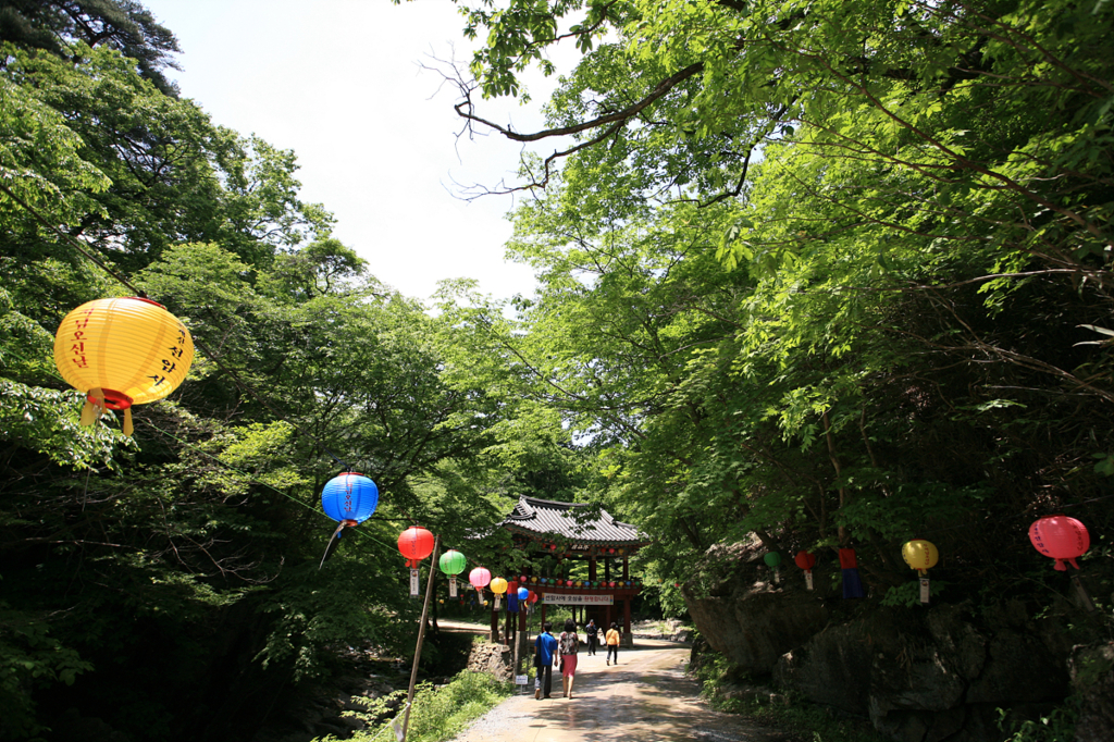 사용자 삽입 이미지