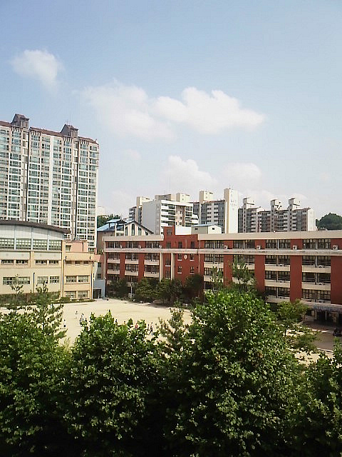 사용자 삽입 이미지