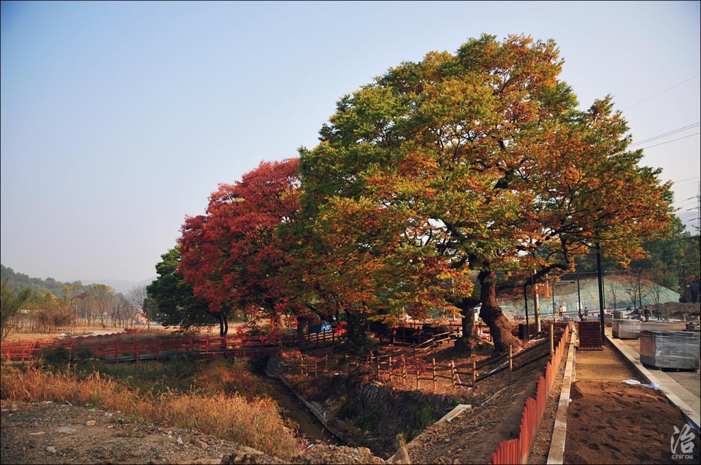 사용자 삽입 이미지