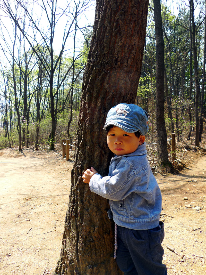 사용자 삽입 이미지