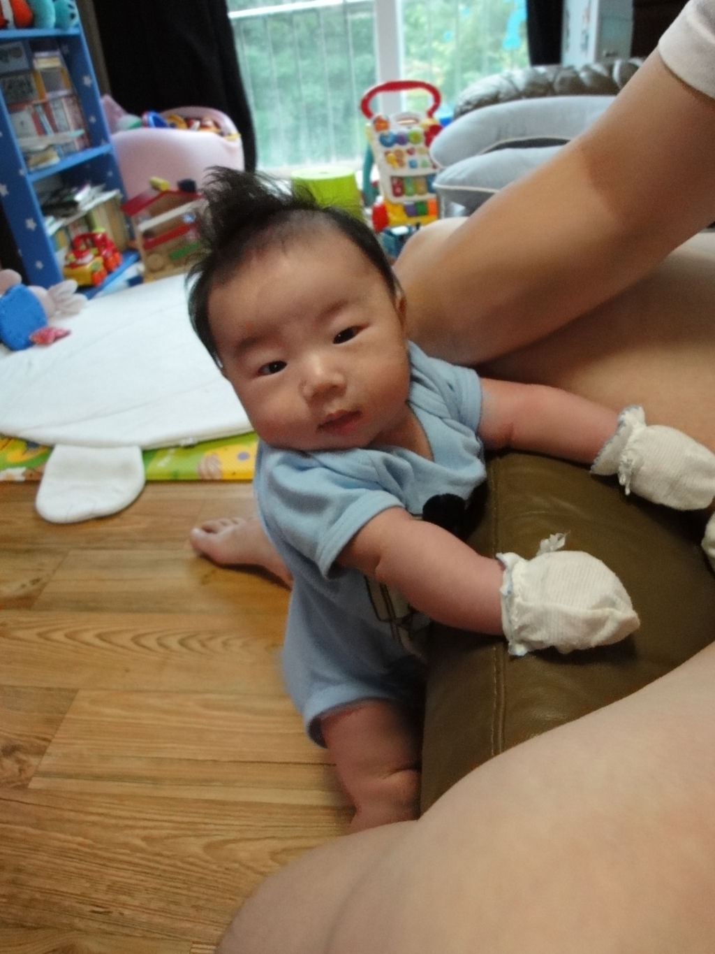 사용자 삽입 이미지