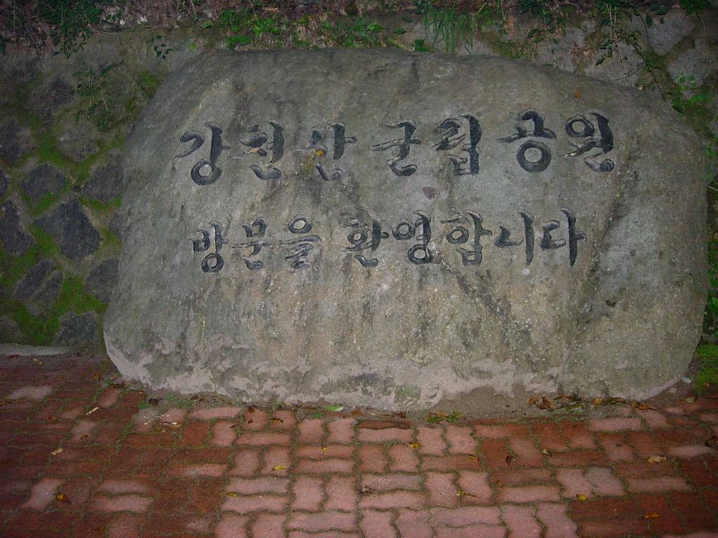 사용자 삽입 이미지