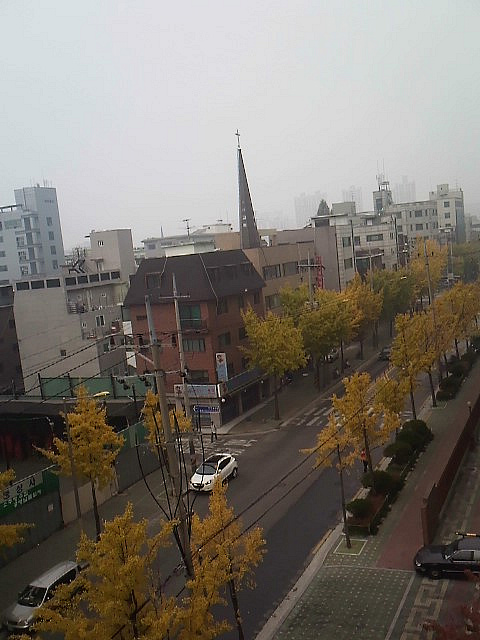 사용자 삽입 이미지