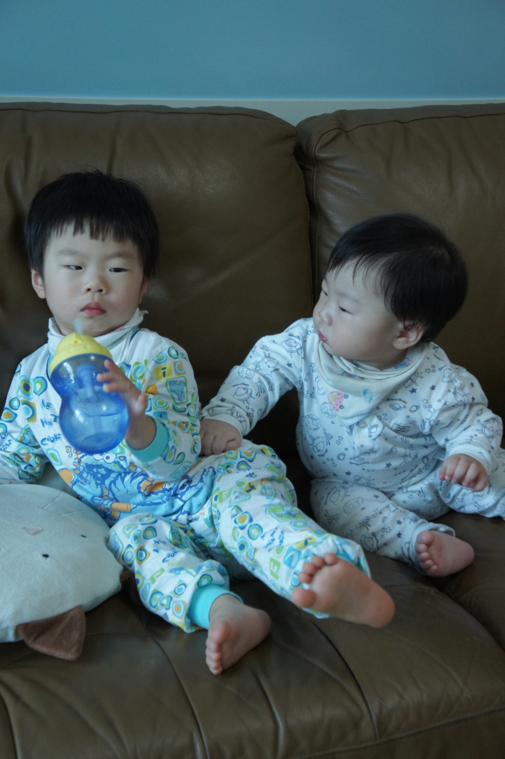 사용자 삽입 이미지
