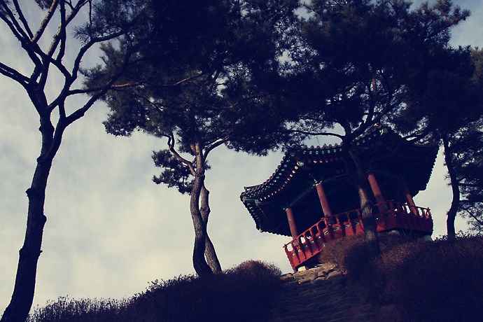 사용자 삽입 이미지