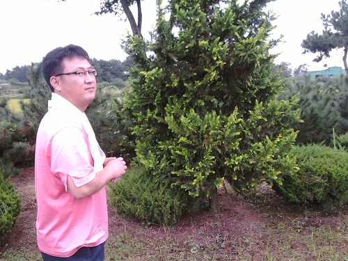 사용자 삽입 이미지