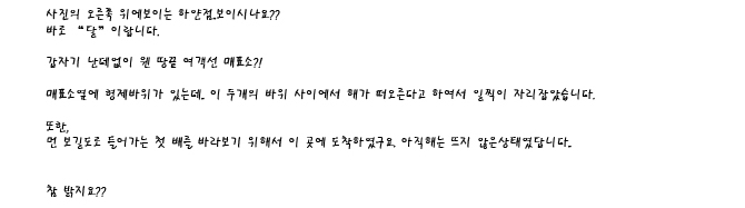 사용자 삽입 이미지