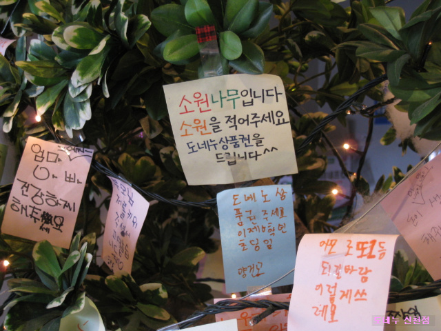 사용자 삽입 이미지