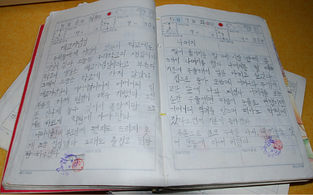 사용자 삽입 이미지