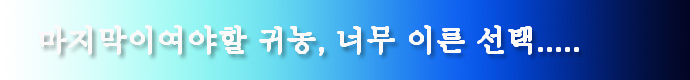 사용자 삽입 이미지