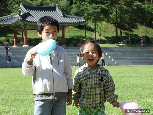 사용자 삽입 이미지
