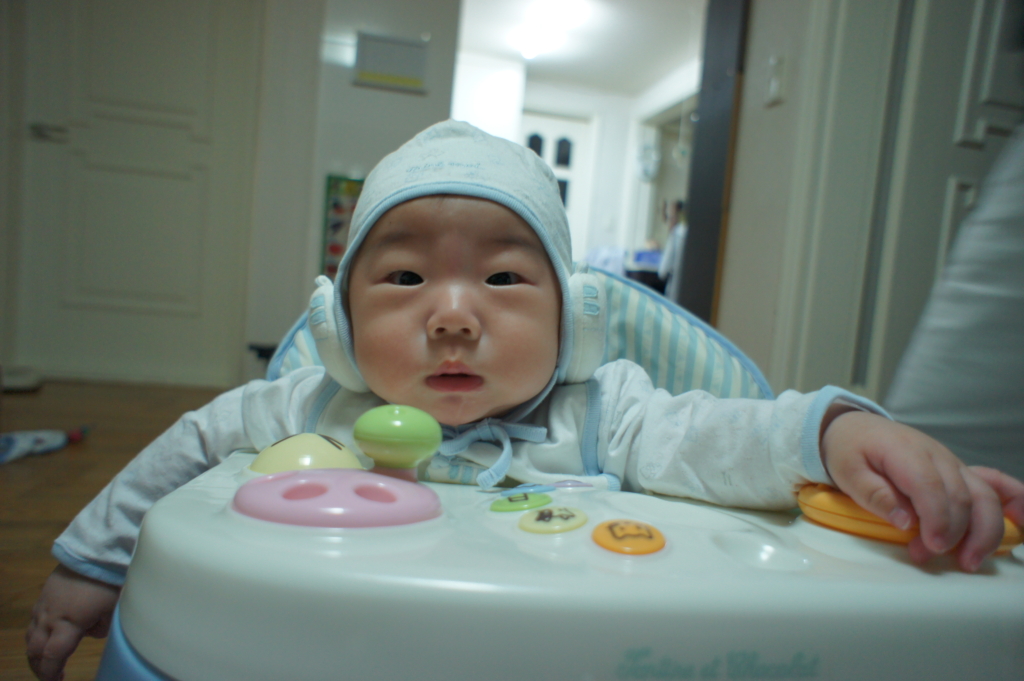 사용자 삽입 이미지