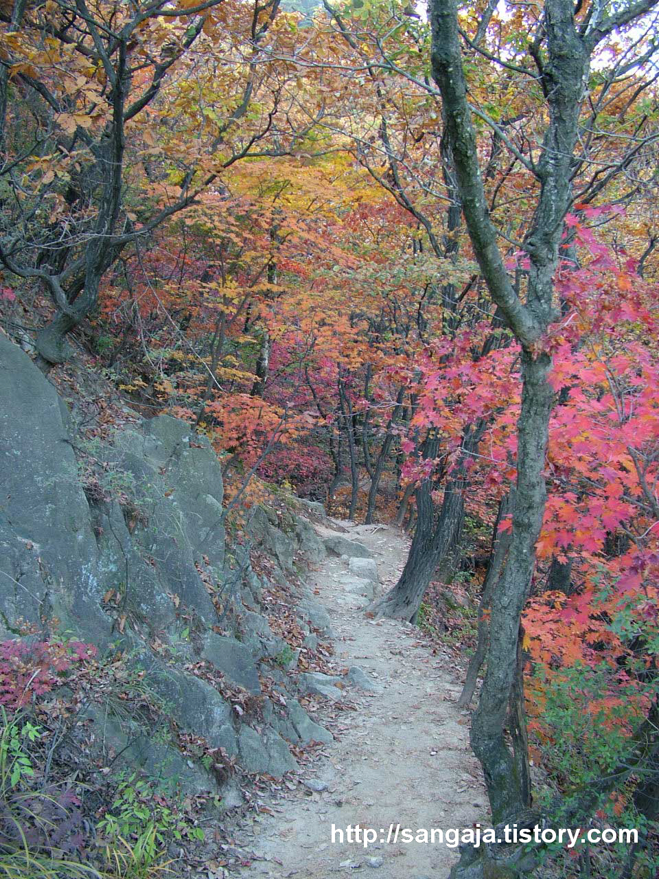 사용자 삽입 이미지