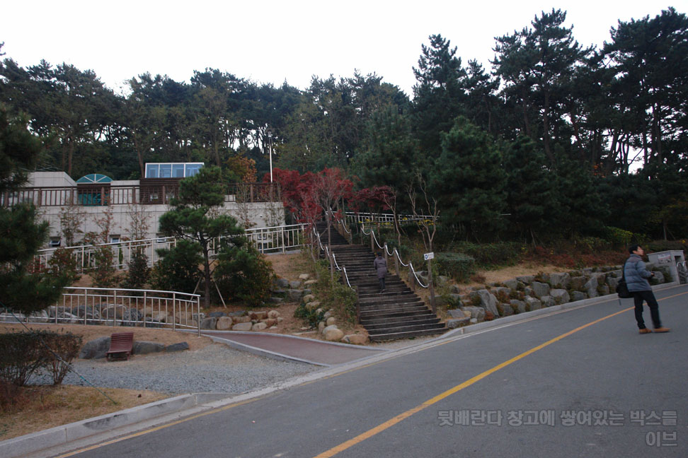 사용자 삽입 이미지
