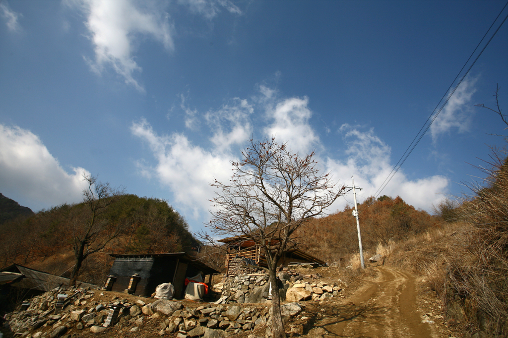 사용자 삽입 이미지