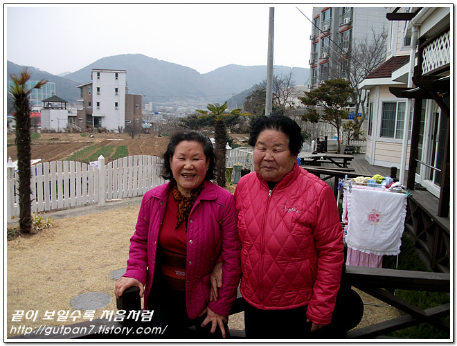 사용자 삽입 이미지