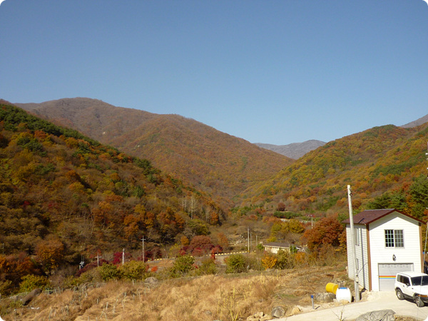 사용자 삽입 이미지