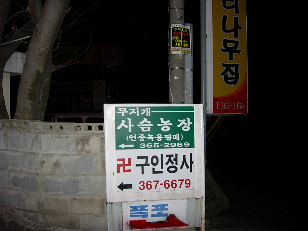 사용자 삽입 이미지