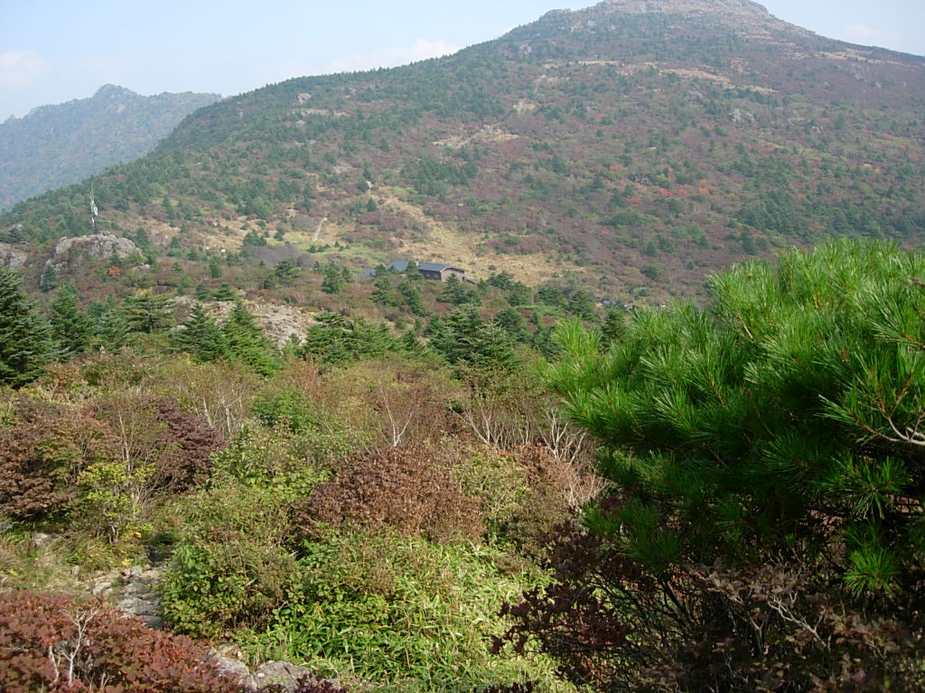 사용자 삽입 이미지