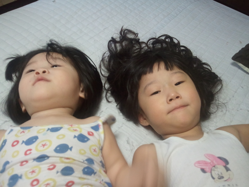 사용자 삽입 이미지