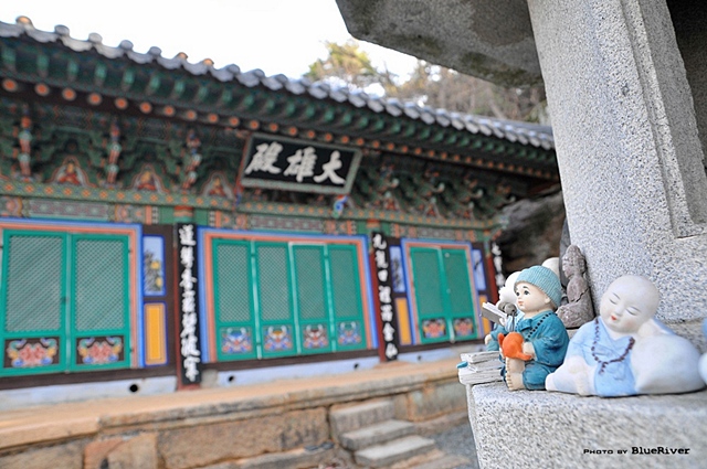 사용자 삽입 이미지