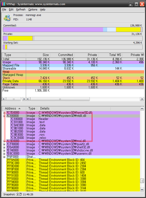 vmmap capture