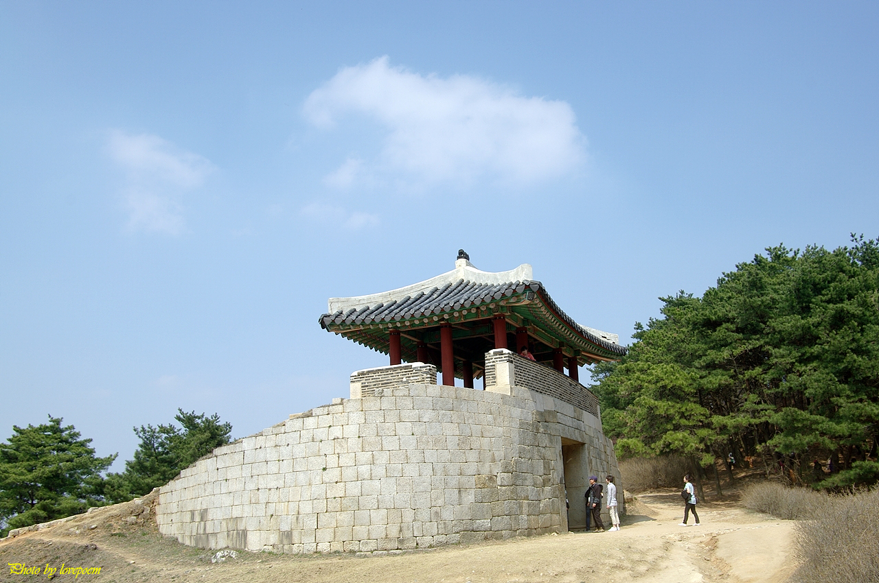 사용자 삽입 이미지