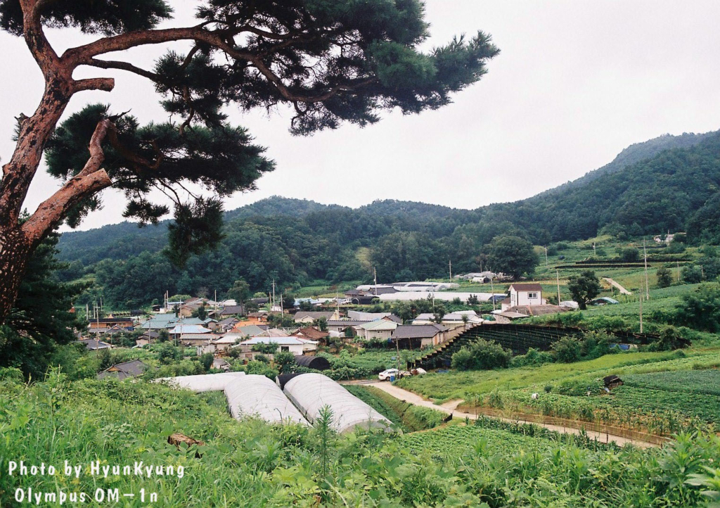 사용자 삽입 이미지