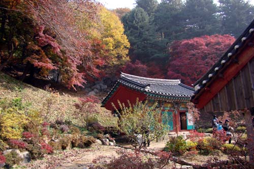 사용자 삽입 이미지