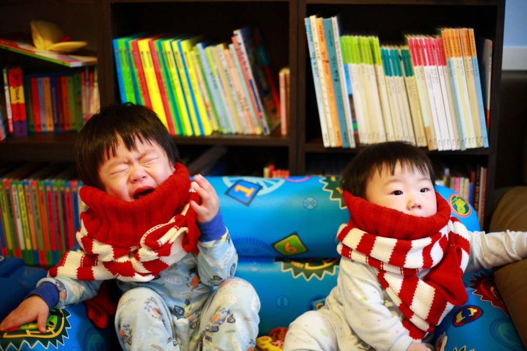 사용자 삽입 이미지