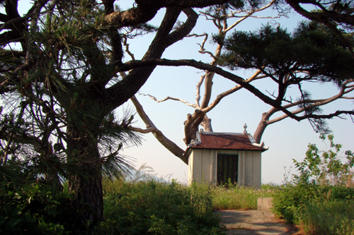 사용자 삽입 이미지