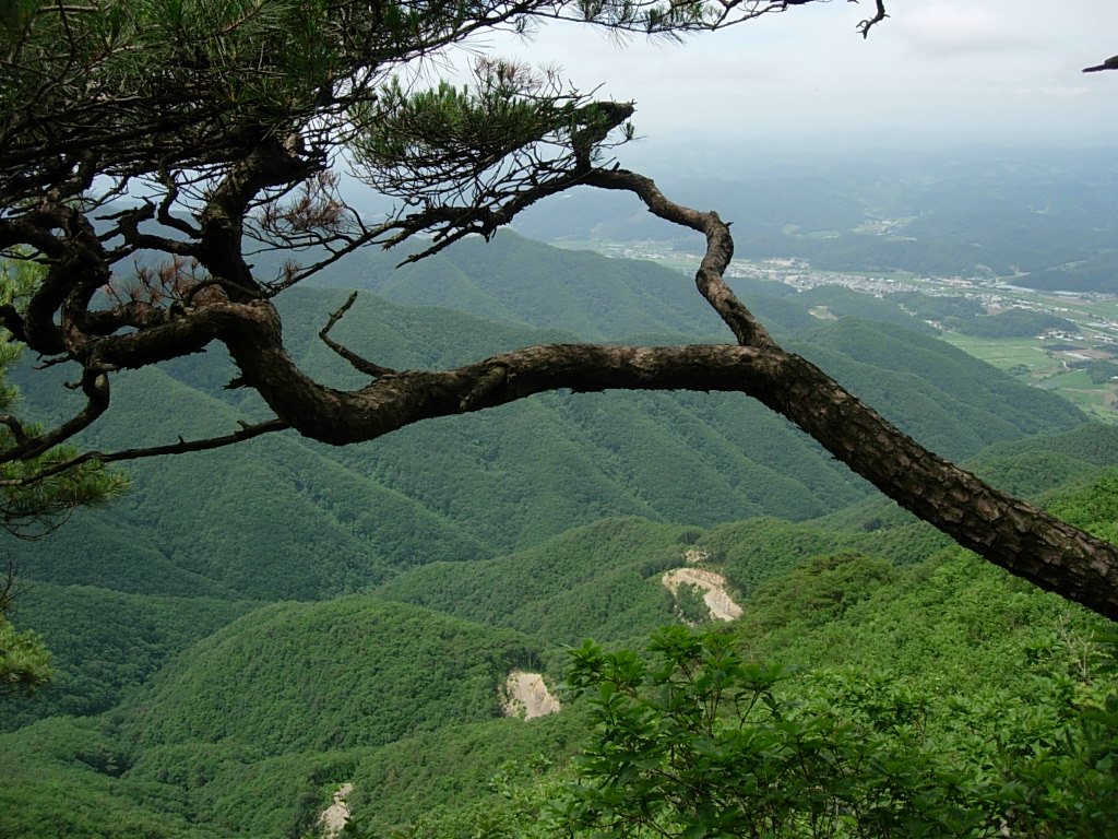 사용자 삽입 이미지