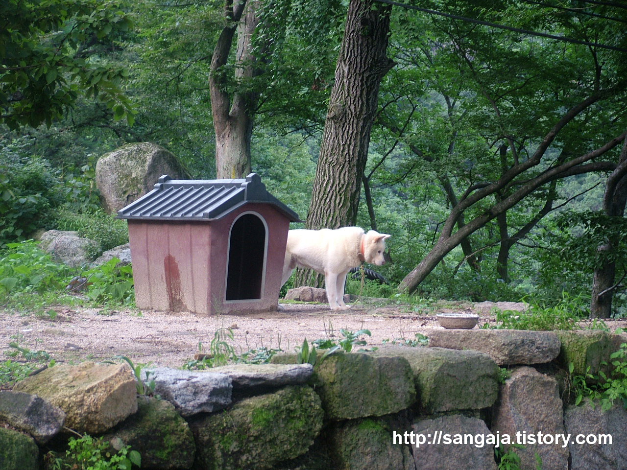 사용자 삽입 이미지