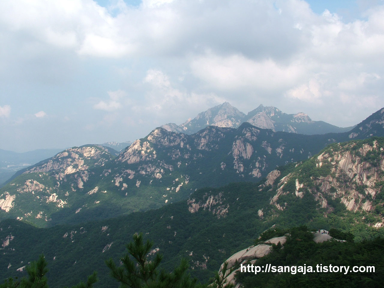 사용자 삽입 이미지