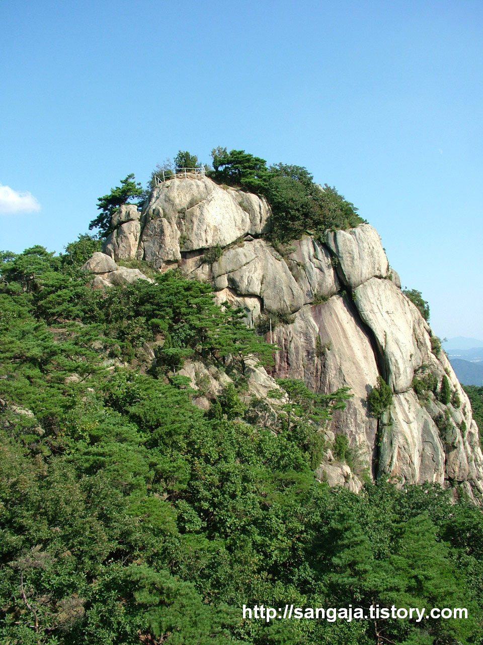사용자 삽입 이미지