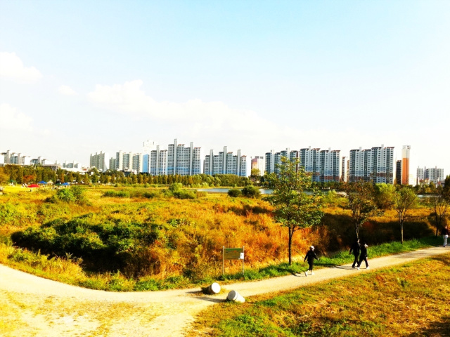 사용자 삽입 이미지