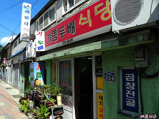 사용자 삽입 이미지