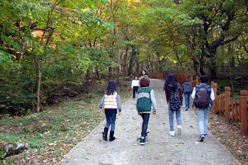 사용자 삽입 이미지