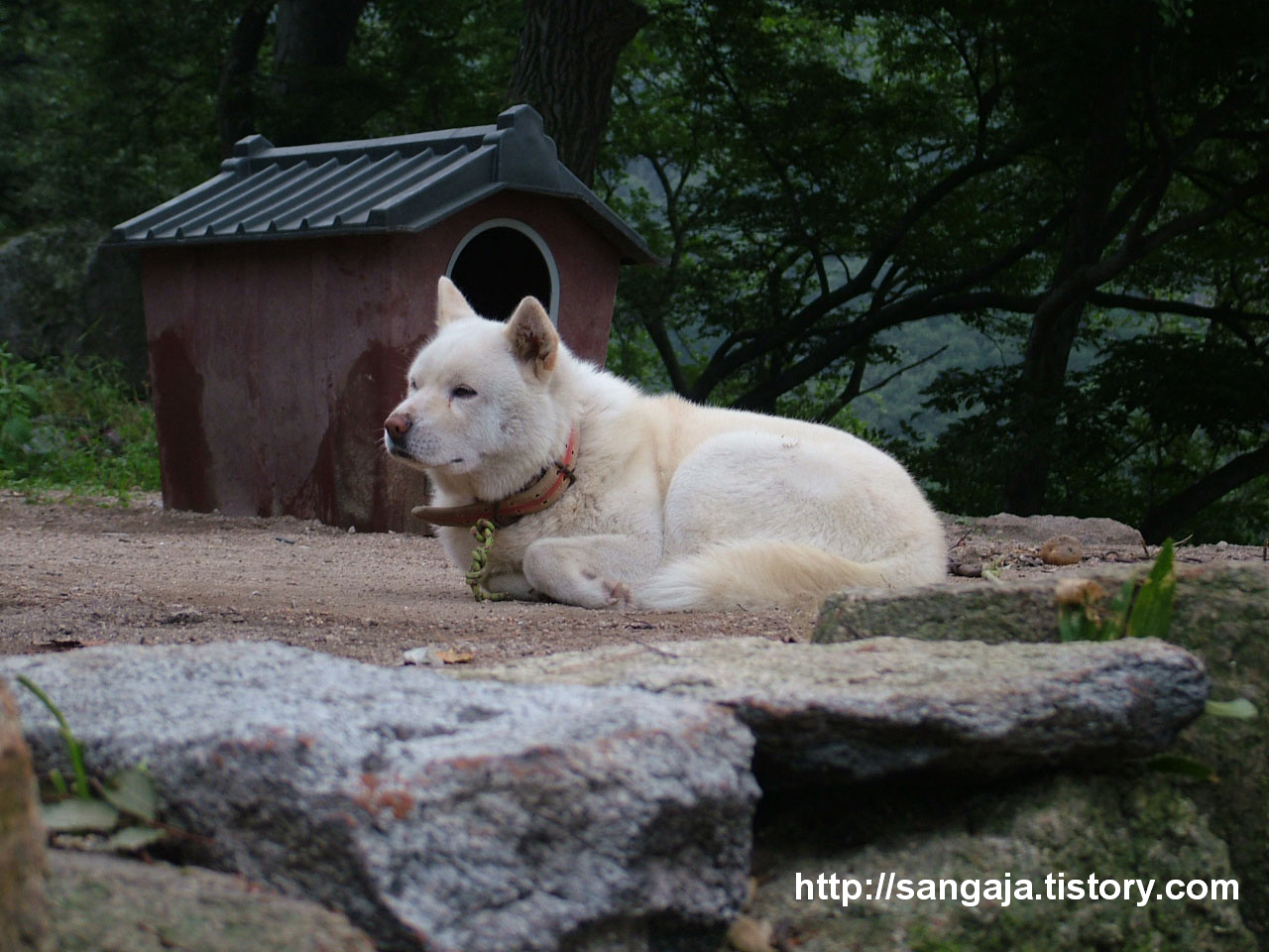 사용자 삽입 이미지