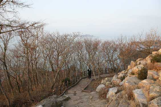 사용자 삽입 이미지