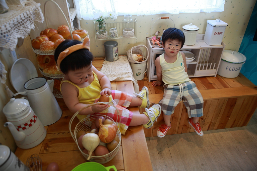 사용자 삽입 이미지